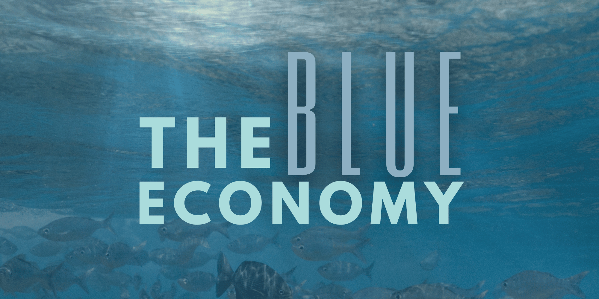 The Blue Horizon: Navigating Nigeria’s $5B Maritime Renaissance 